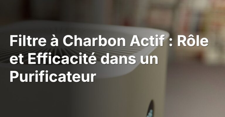 Filtre à Charbon Actif : Rôle et Efficacité dans un Purificateur